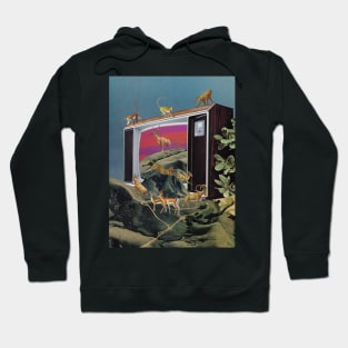 Animal Channel Hoodie